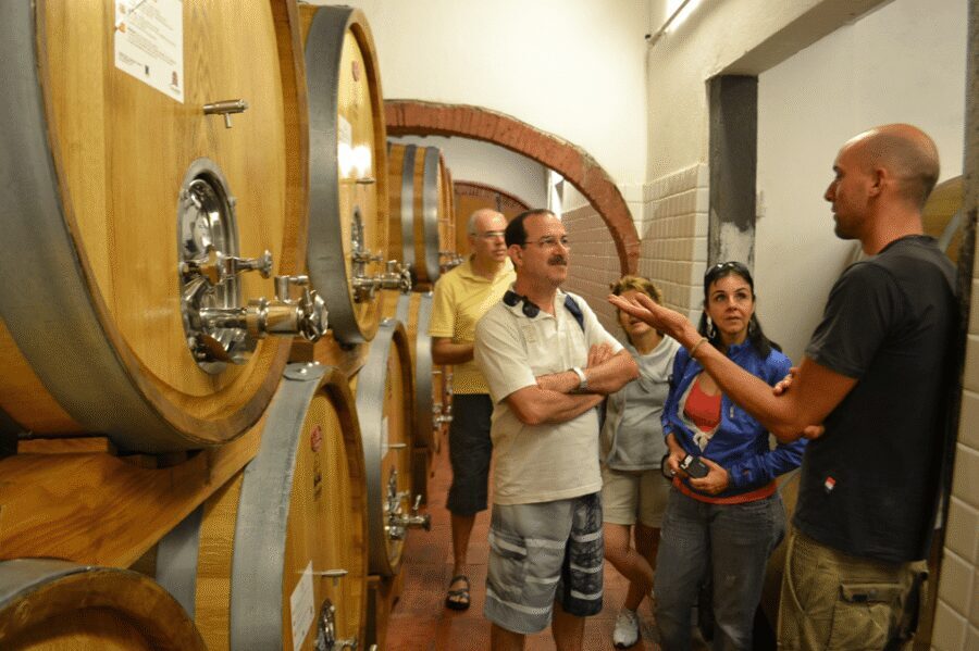From Florence: Small-Group Chianti Wine Tour 2024 - Price and value: is $283.21 a fair deal?