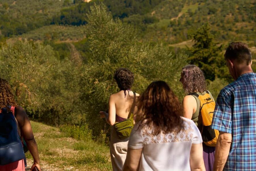 From Florence: Small Group Chianti Wine Tour with Lunch - Key Takeaways Before You Go