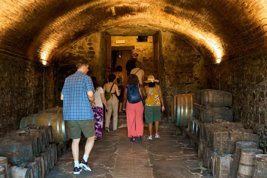 From Florence: Small Group Chianti Wine Tour with Lunch - Chianti Classico 101: What Your Sommelier Teaches You to Taste