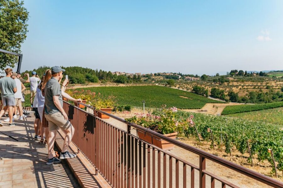 From Florence: Small Group Wine Tasting Tour to Tuscany - What You Actually Drink and Taste: Sangiovese First, Olive Oil Always