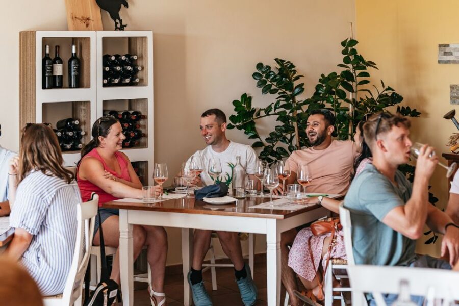 From Florence: Small Group Wine Tasting Tour to Tuscany - Timing, Motion, and Comfort Tips for a Smooth Day