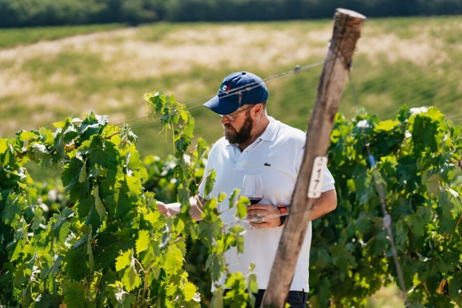 From Florence: Small Group Wine Tasting Tour to Tuscany - The Minibus Ride: Views, Stories, and Why Small Groups Matter