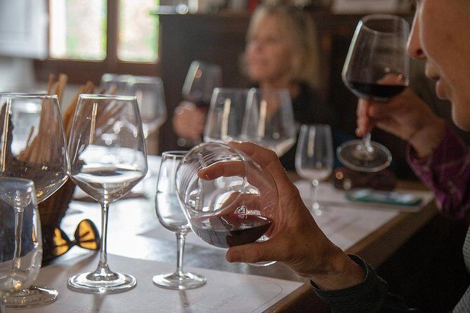 From Florence to Chianti Rufina: Wine Tasting Experience - Key things I’d pin on your shortlist