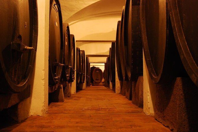 From Florence to Chianti Rufina: Wine Tasting Experience - The value of a max-10 group (and why it changes the experience)