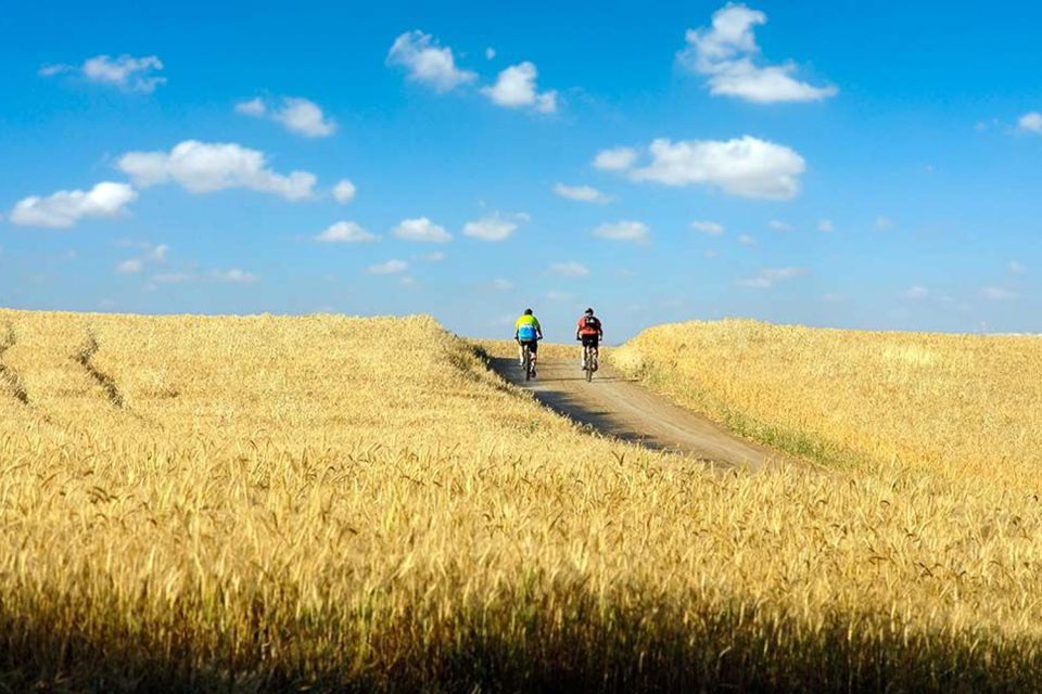 From Florence: Tuscany by E-Bike with Lunch and Wine Tasting - Key highlights you’ll care about