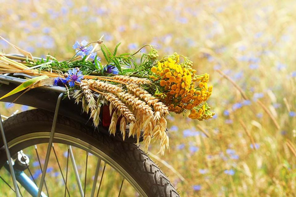From Florence: Tuscany by E-Bike with Lunch and Wine Tasting - Back over the Chianti hills: finishing with perspective