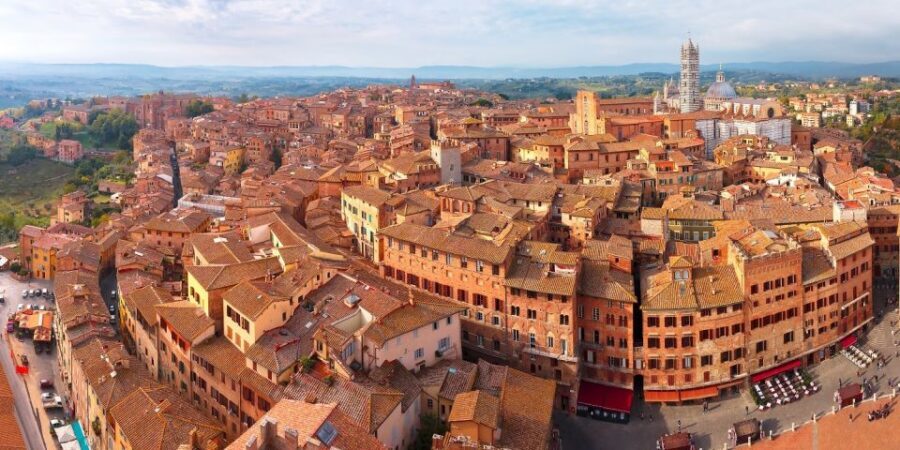 From Florence: Tuscany Day Trip with a Private Chauffeur - Chianti wine region: rolling hills, vineyards, and how to use your last hours