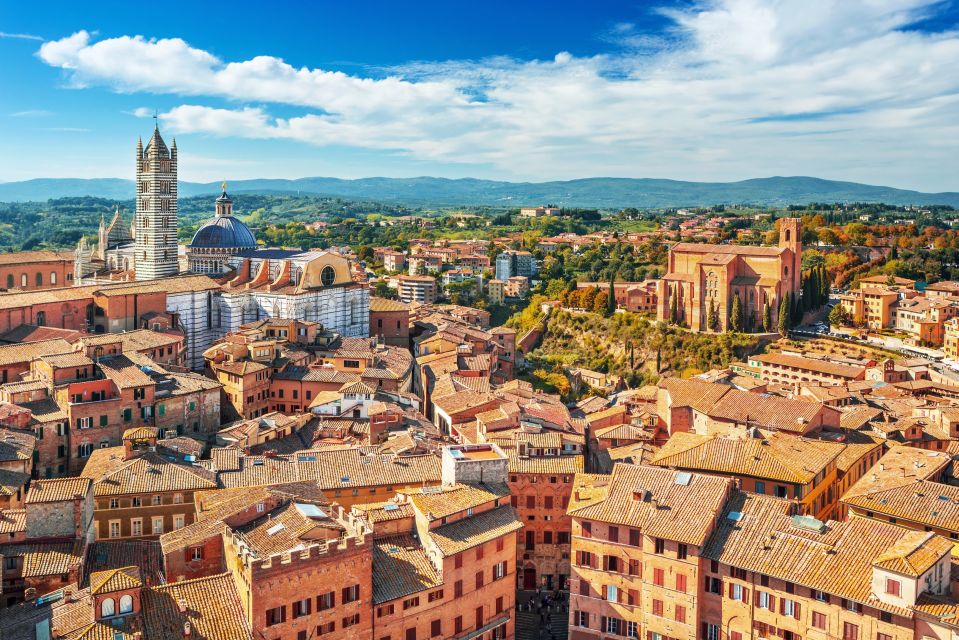 From Florence: Tuscany Highlights Full-Day Tour - Chianti Hills lunch and wine tasting: the break that makes the day work