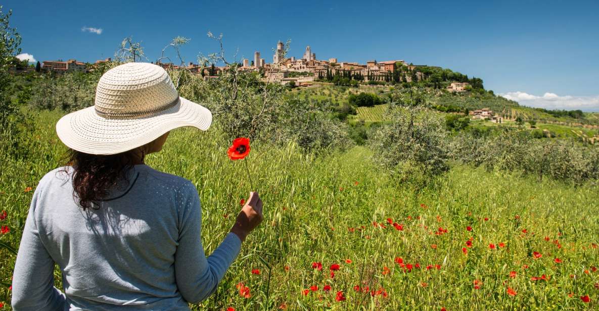 From Florence: Tuscany Highlights Full-Day Tour - What to bring and how to pace yourself on a packed day