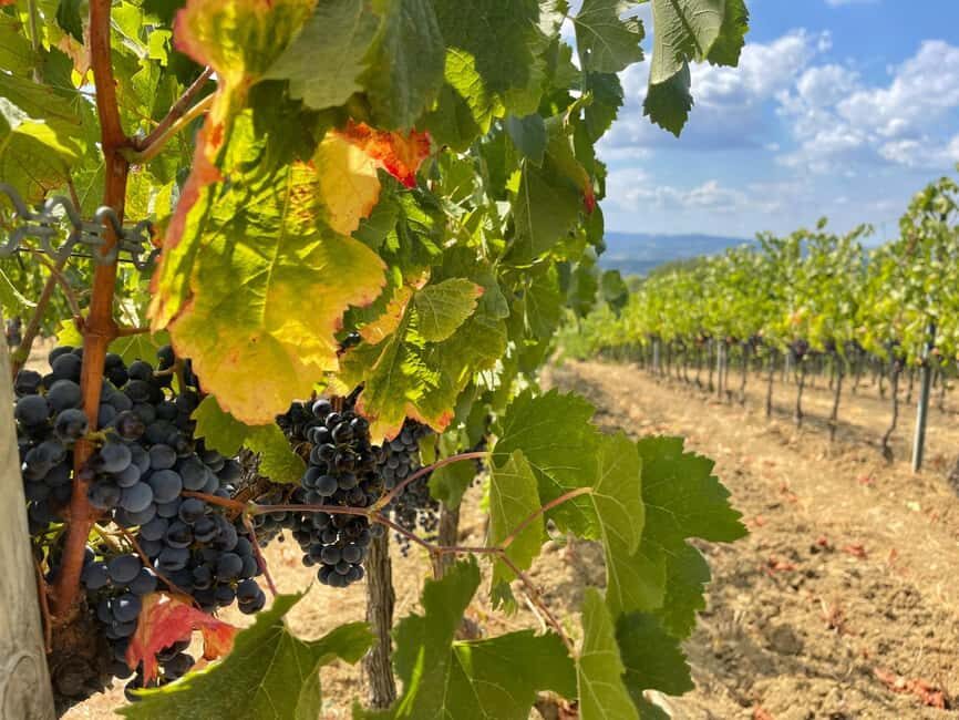 From Florence: Tuscany & San Gimignano Tour with 2 Tastings - The First Winery Stop: A Luxury-Style Tasting With Chianti Classico and Beyond
