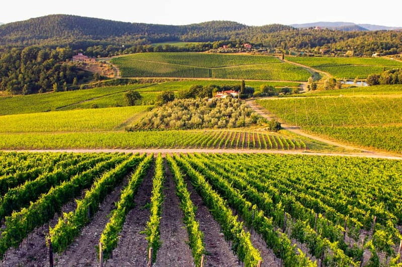 From Florence: Tuscany Wine & Food Tour with Guide - Final winery at a family-owned villa: gardens, views, and product tastings