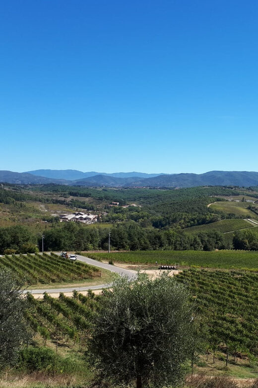 From Florence: Vintage Fiat 500 Chianti & Tuscany Wine Tour - Chianti Classico Roads: Why the Private Driver Matters