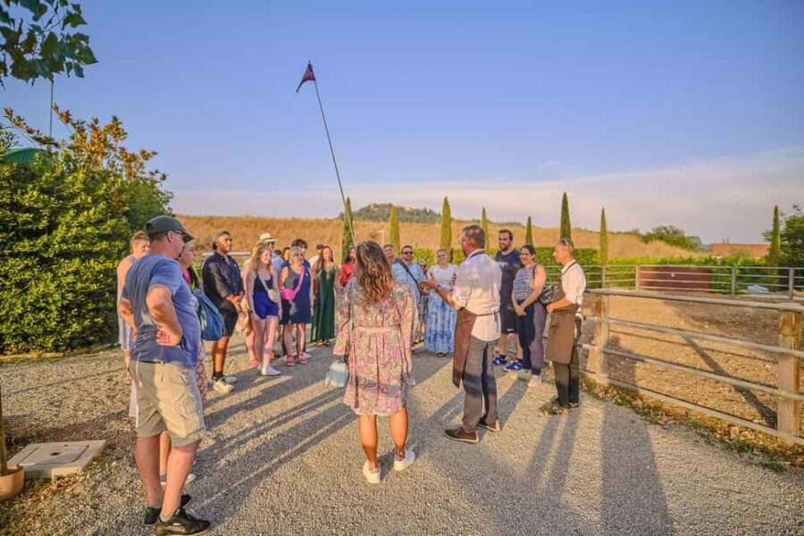 From Florence: Wine Tasting and Dinner in Chianti Vineyards - A Quick Village Pause (Greve in Chianti) for Context and Breathing Room