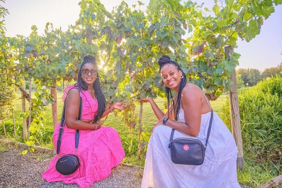 From Florence: Wine Tasting and Dinner in Chianti Vineyards - Food Options: Vegetarian, Vegan, and Gluten-Free Notes