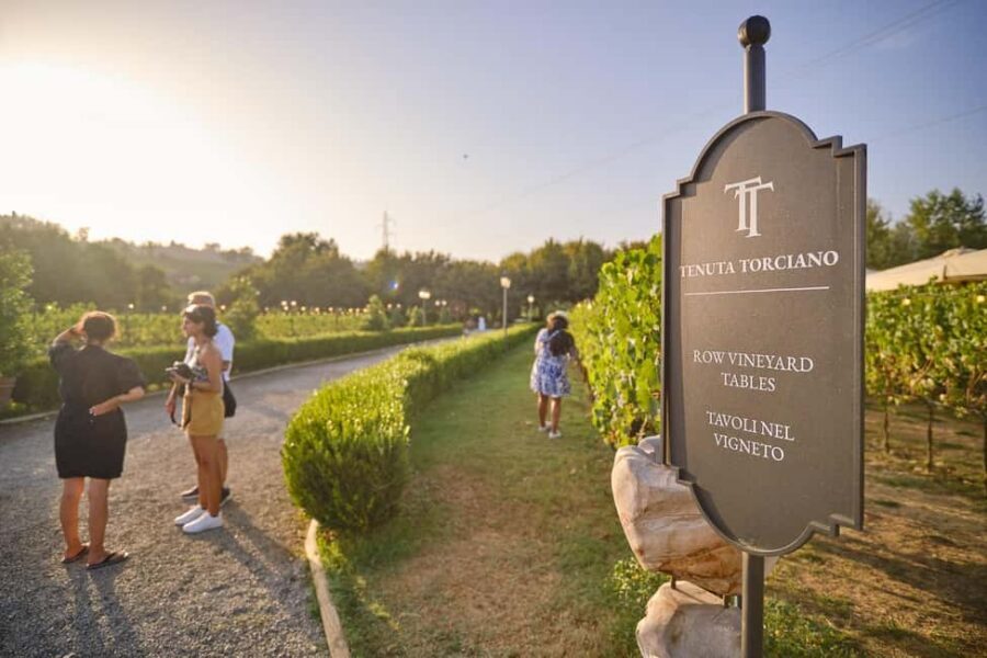From Florence: Wine Tasting and Dinner in Chianti Vineyards - Price and What You’re Really Paying For at $141