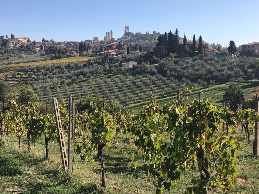From Livorno: Shore Excursion to Chianti and San Gimignano - Livorno to the Chianti Hills: getting there without wasting your day
