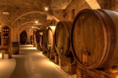 From Pisa or Lucca: Half-Day Tuscany Chianti Wine Tasting - Your winery stop: owner-led learning and a real cantina visit