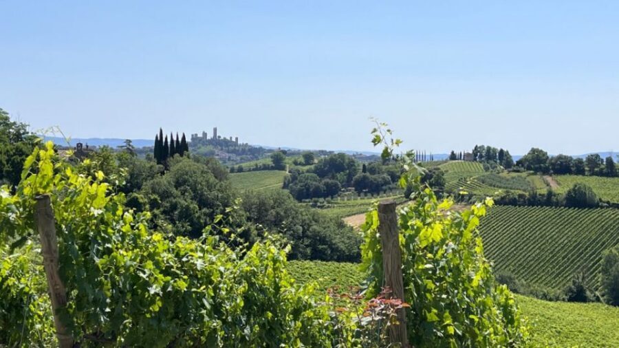 From Rome: Florence & Tuscany Day Tour by High-Speed Train - Family-run Tuscan winery: wine tasting plus a real lunch pairing