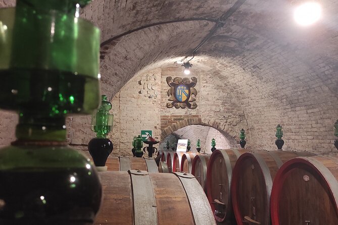 From Rome: Private Day-Tour of Tuscany - Wine tasting in Montepulciano: what to expect and how to enjoy it