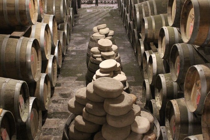 From Rome: Private Day-Tour of Tuscany - Who should book this Tuscany day trip?