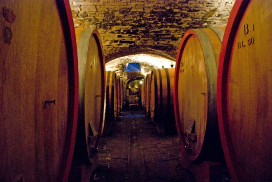 From Rome: Private Tuscany Day Trip - Price and value: is $553.32 per person fair?