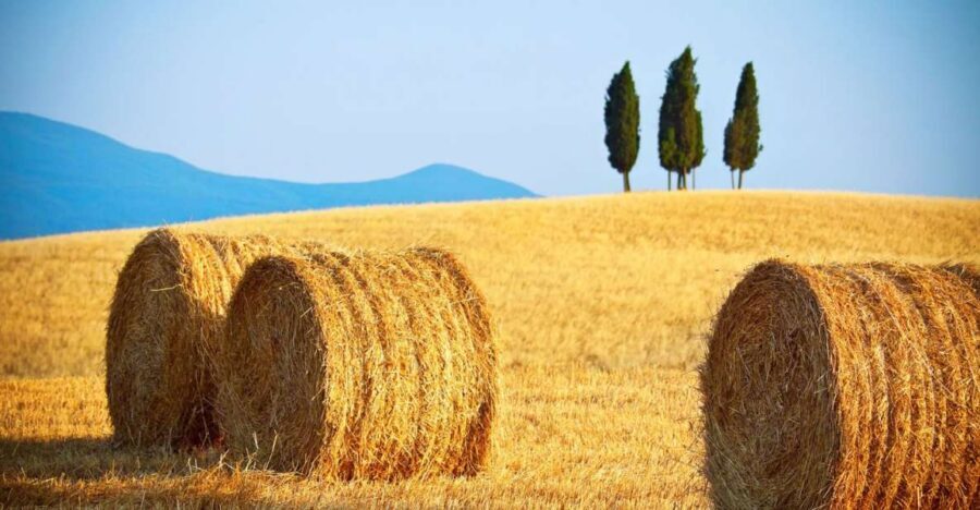 From Rome: Private Tuscany Day Trip - Why this private Tuscany loop is built for a 12-hour day