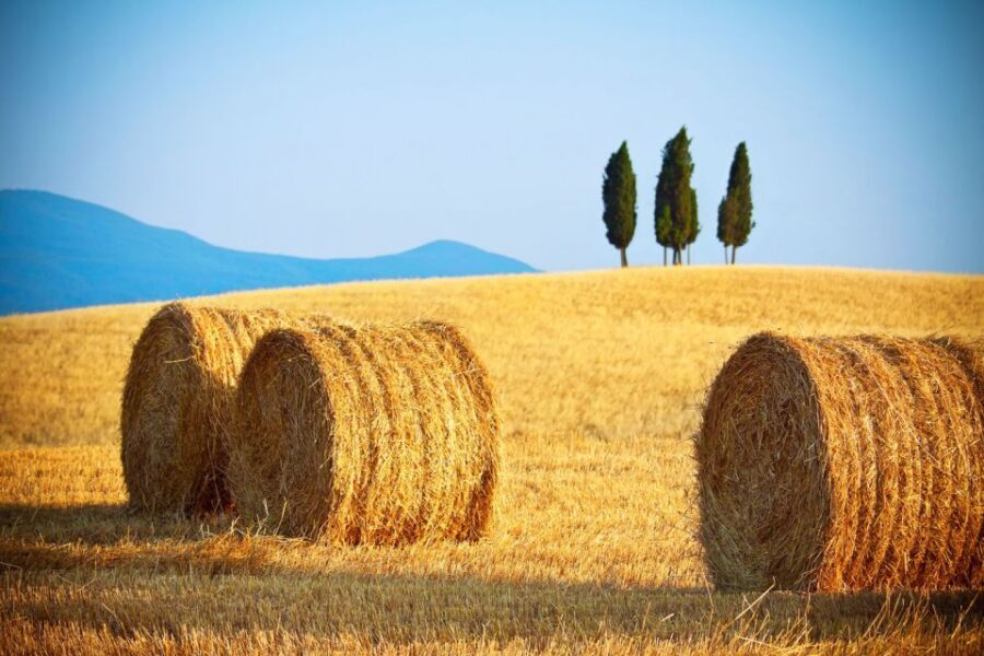 From Rome: Private Tuscany Day Trip - Pienza: Renaissance architecture and a Duomo you can’t ignore