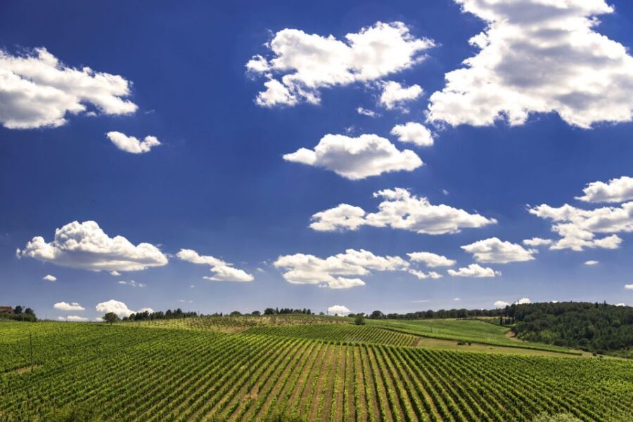 From Rome: Private Tuscany Day Trip - Montalcino: Fortezza di Montalcino and Brunello country