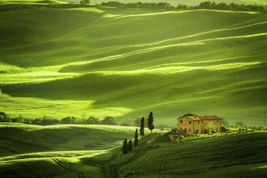From Rome: Private Tuscany Day Trip - Morning pickup: the Mercedes part you’ll actually feel