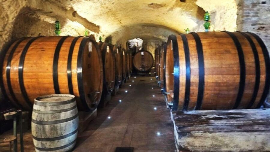 From Rome: Tuscany, Montepulciano Tour with Wine & Lunch - Montalcino after lunch: convent museum, fortress town feel, and shopping time