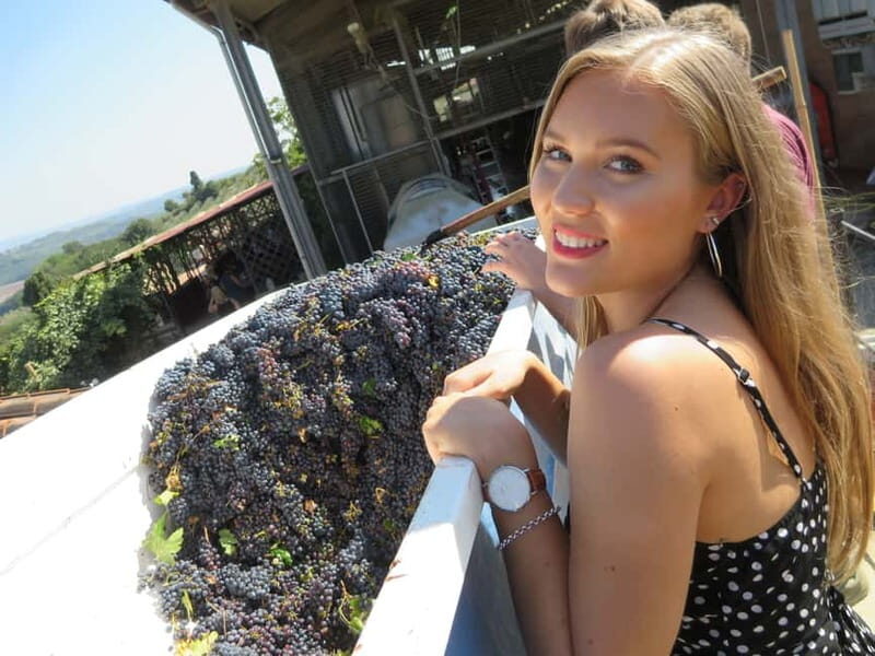 From Rome: Tuscany & Siena with Wine Tasting and Lunch - San Gimignano: Towers, Medieval Walks, and the Manhattan of Tuscany