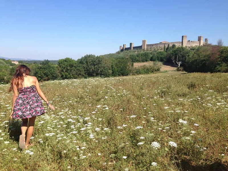 From Rome: Tuscany & Siena with Wine Tasting and Lunch - Chianti Countryside: Lunch Plus Wine and Olive Oil Tasting