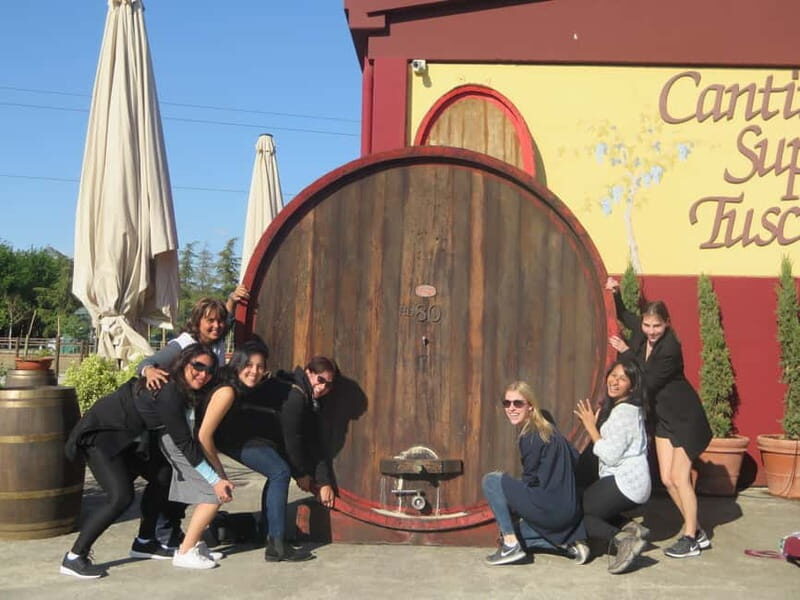 From Rome: Tuscany Wine Tour, San Gimignano & Florence - Family-run Vernaccia DOCG winery near San Gimignano