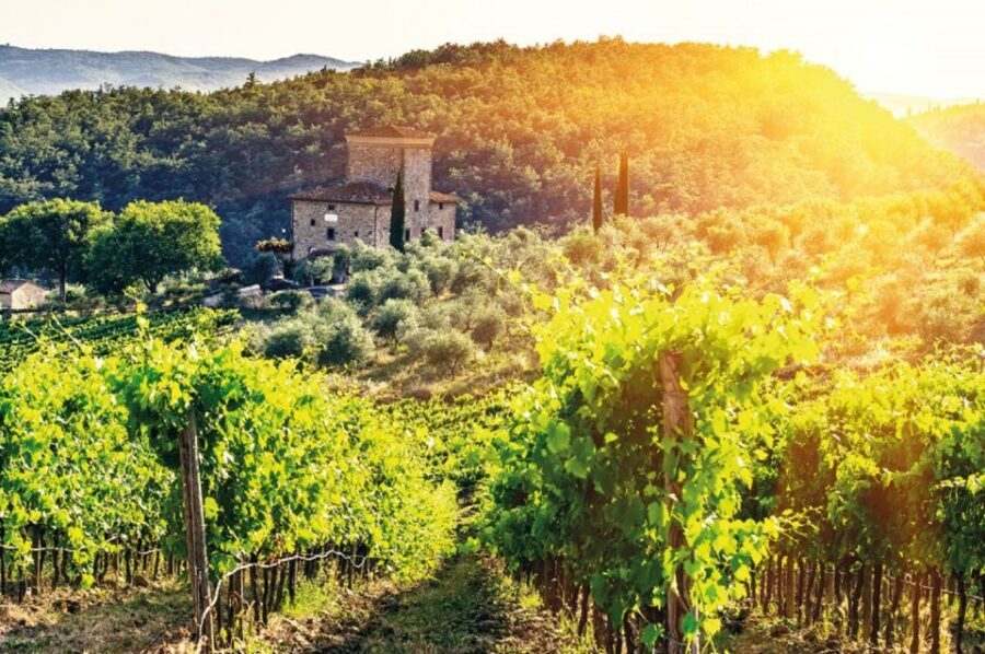 From Siena: Chianti and Castles Tour with Wine Tastings - FAQ
