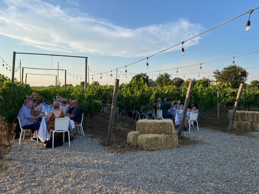 From Siena: Chianti and Castles Tour with Wine Tastings - From Siena by minivan: the small-group comfort factor