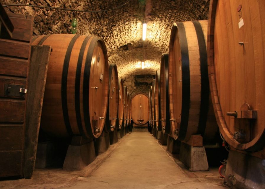 From Siena: Chianti and Castles Tour with Wine Tastings - The Chianti wine lesson: from vineyards to your glass
