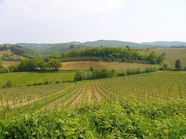 From Siena: Chianti and Castles Tour with Wine Tastings - Town time vs. wine time: how the 5 hours really play out
