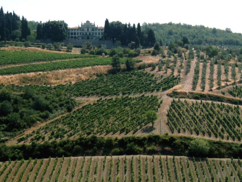 From Siena: Chianti and Castles Tour with Wine Tastings - Castellina in Chianti and Monteriggioni: towers, walls, and that Tuscan walk
