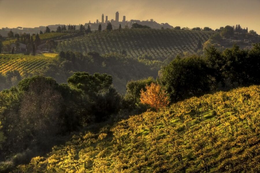 From Siena: Chianti and San Gimignano Sunset Tour - A 9-Hour Siena Loop Through Chianti, Monteriggioni, and San Gimignano