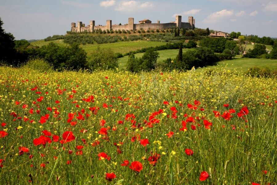 From Siena: Chianti Countryside E-Bike Tour w/ Lunch & Wine - Siena Morning Start: Meeting Point, Bike Fit, Then Out Into Chianti