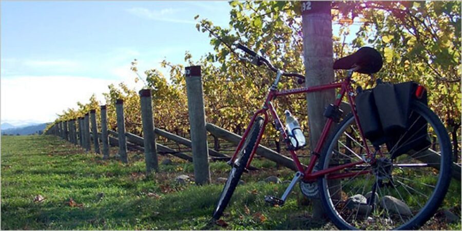 From Siena: Chianti Countryside E-Bike Tour w/ Lunch & Wine - The Monteriggioni Fortress Stop: Medieval Walls and Dante’s Shadow