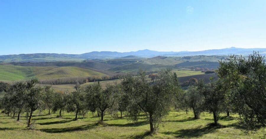 From Siena: Chianti Countryside E-Bike Tour w/ Lunch & Wine - E-Bikes and Comfort: Why This Tour Works for Different Fitness Levels