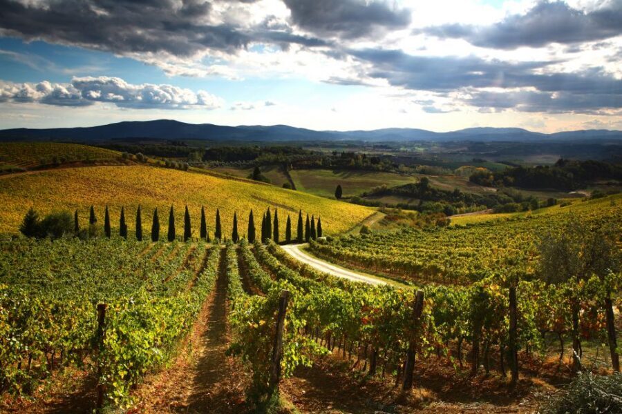 From Siena: Chianti Countryside E-Bike Tour w/ Lunch & Wine - What to Bring and How to Set Yourself Up for an Easy Day