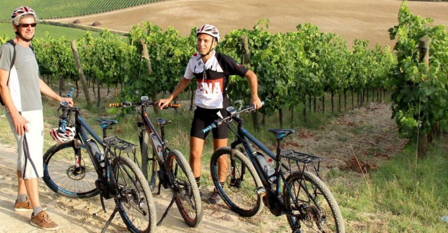 From Siena: Chianti Countryside E-Bike Tour w/ Lunch & Wine - The 20km Chianti Ride: What the Route Feels Like Over 6 Hours