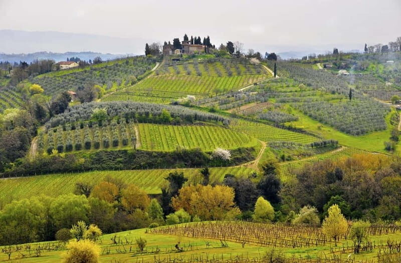From Siena/Chianti: Dinner & Drinks in the Chianti Vineyards - Siena to Chianti at 6 PM: the evening starts early