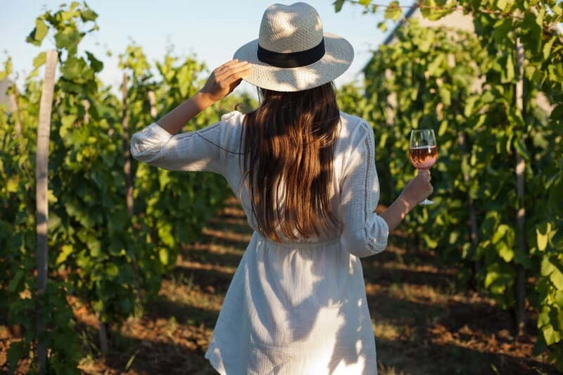 From Siena/Chianti: Dinner & Drinks in the Chianti Vineyards - Sunset aperitif among the vines: the mood is doing half the work