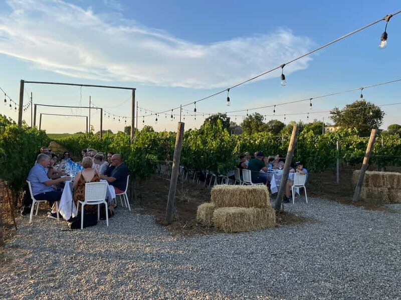 From Siena/Chianti: Dinner & Drinks in the Chianti Vineyards - Wine and drinks: what’s included and why that matters
