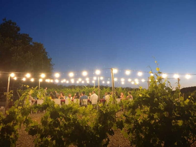 From Siena/Chianti: Dinner & Drinks in the Chianti Vineyards - What the 5 hours feels like in real life