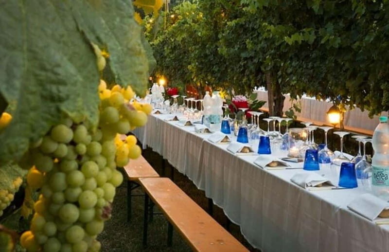 From Siena/Chianti: Dinner & Drinks in the Chianti Vineyards - Who this tour suits best (and who should rethink it)