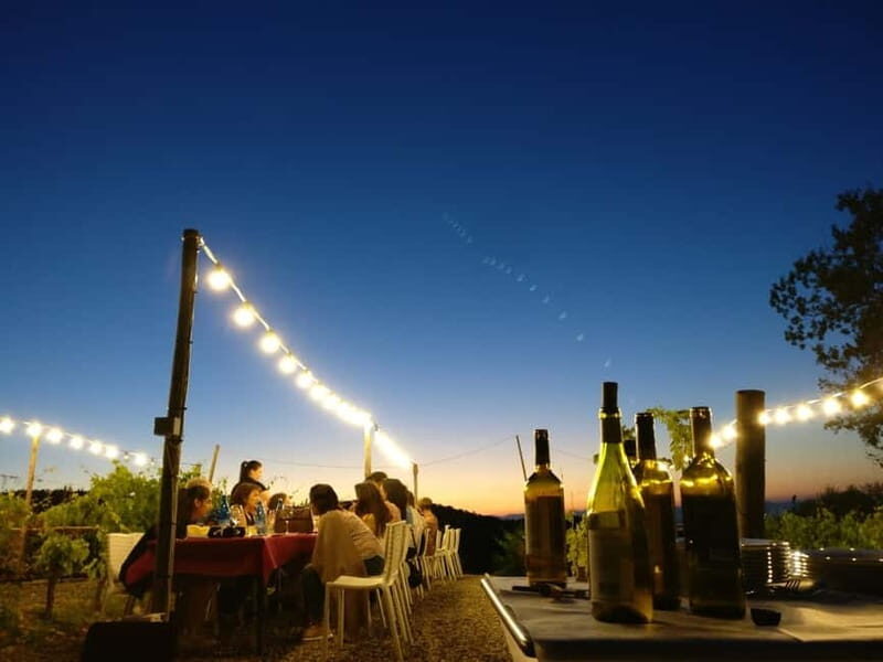 From Siena/Chianti: Dinner & Drinks in the Chianti Vineyards - The farm and winery stop: where your wine education becomes practical